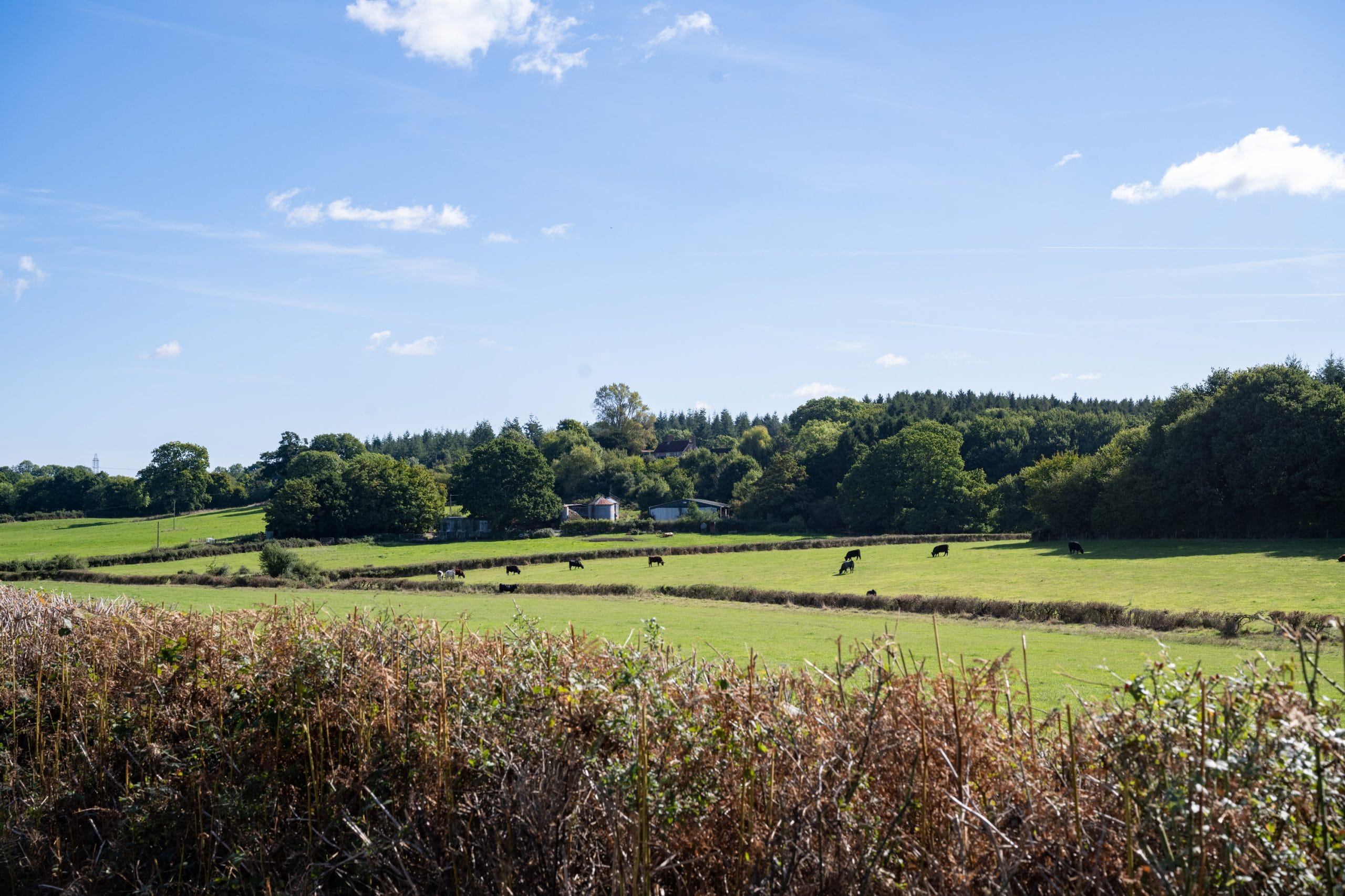 Regal Chase New Homes in Alderholt Antler Homes