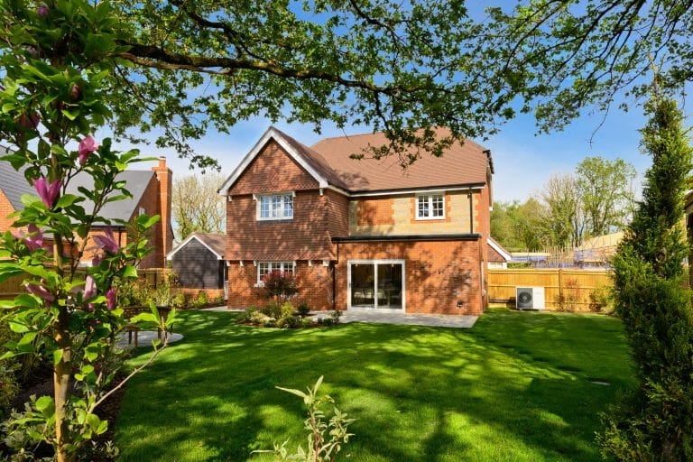 Sadler_Fields_Plot_6_rear